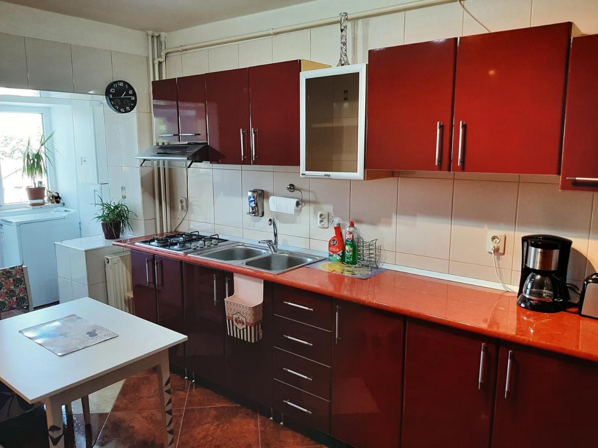 Ultracentral,Parcul Catedralei,Apartament 2 Camere Бакэу Экстерьер фото
